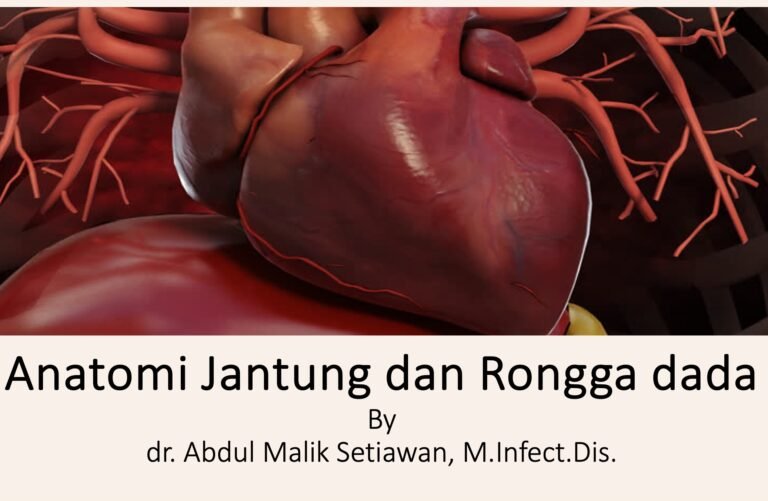 Anatomi Jantung dan Rongga Dada